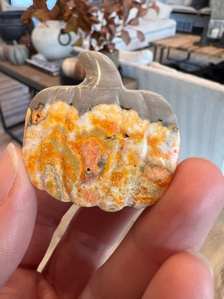 Bumblebee Jasper Pumpkin (17)