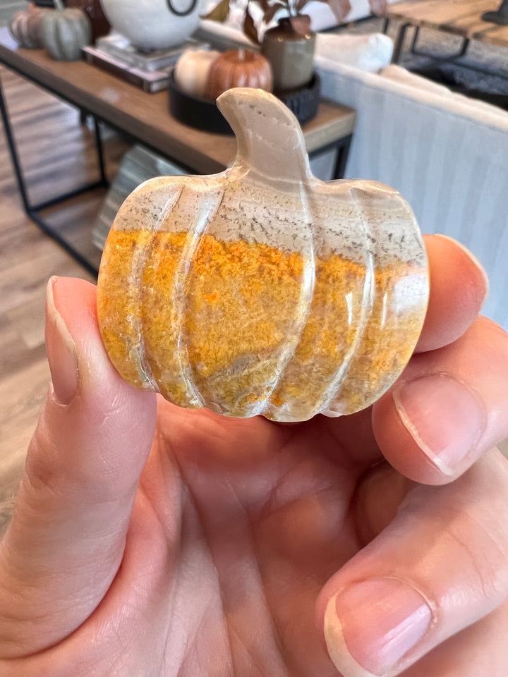 Bumblebee Jasper Pumpkin (10)