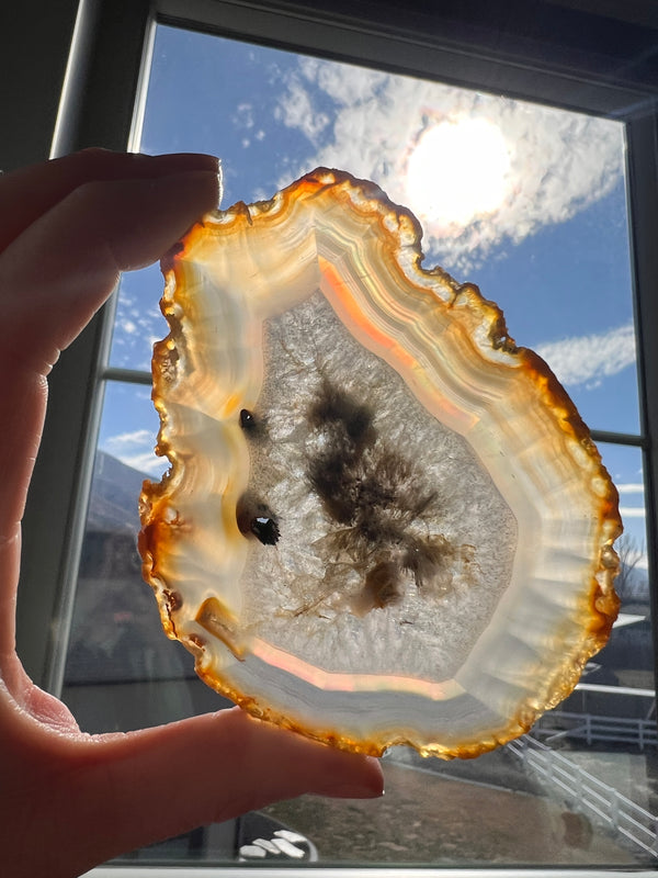 Iris Agate Slice (5) | 62.8g