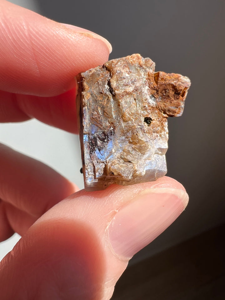Mexican Moonstone (6) | 6.8g