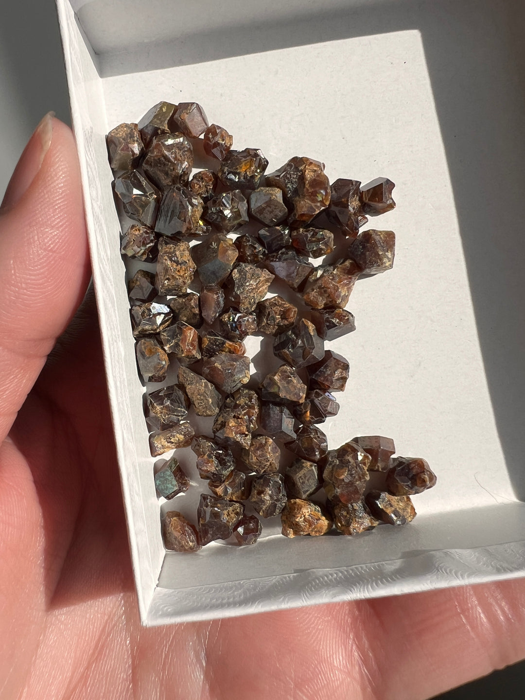 Japanese Rainbow Garnet Lot
