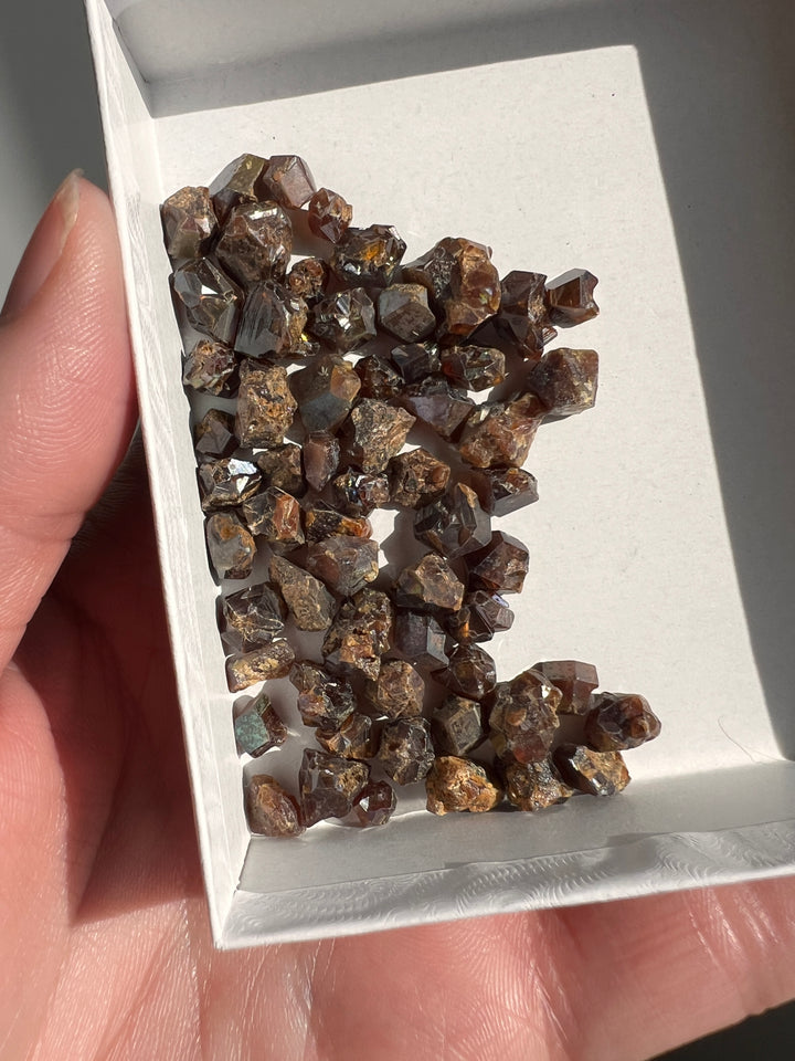 Japanese Rainbow Garnet Lot