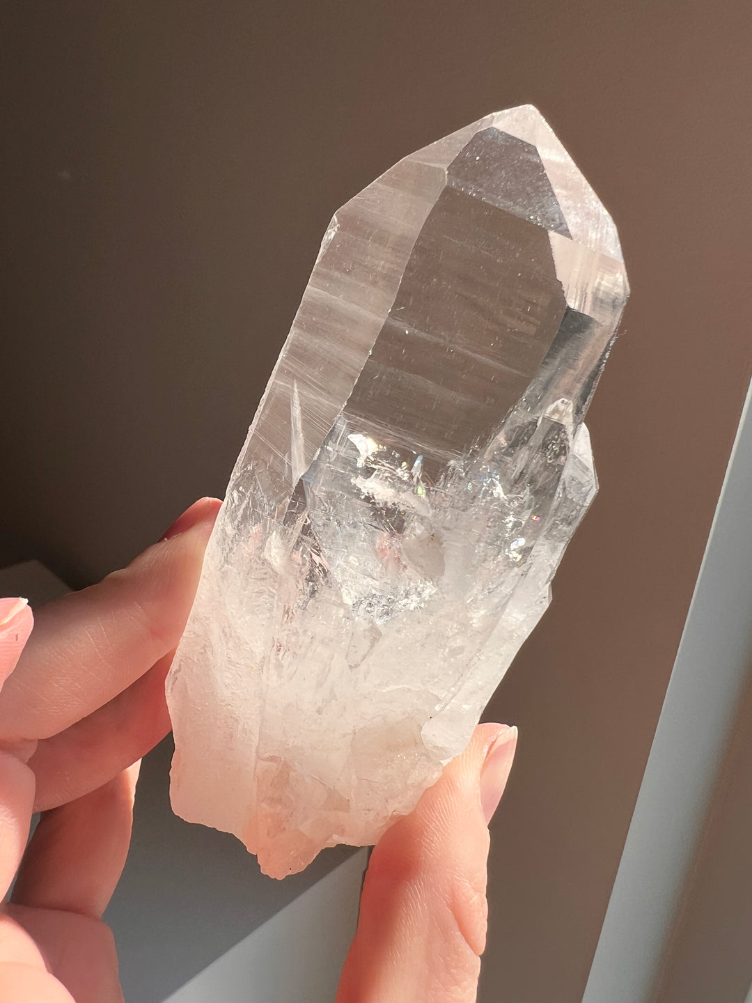 Colombian Lemurian (13) | 228g