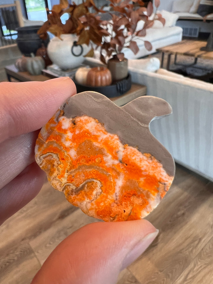 Bumblebee Jasper Pumpkin (17)