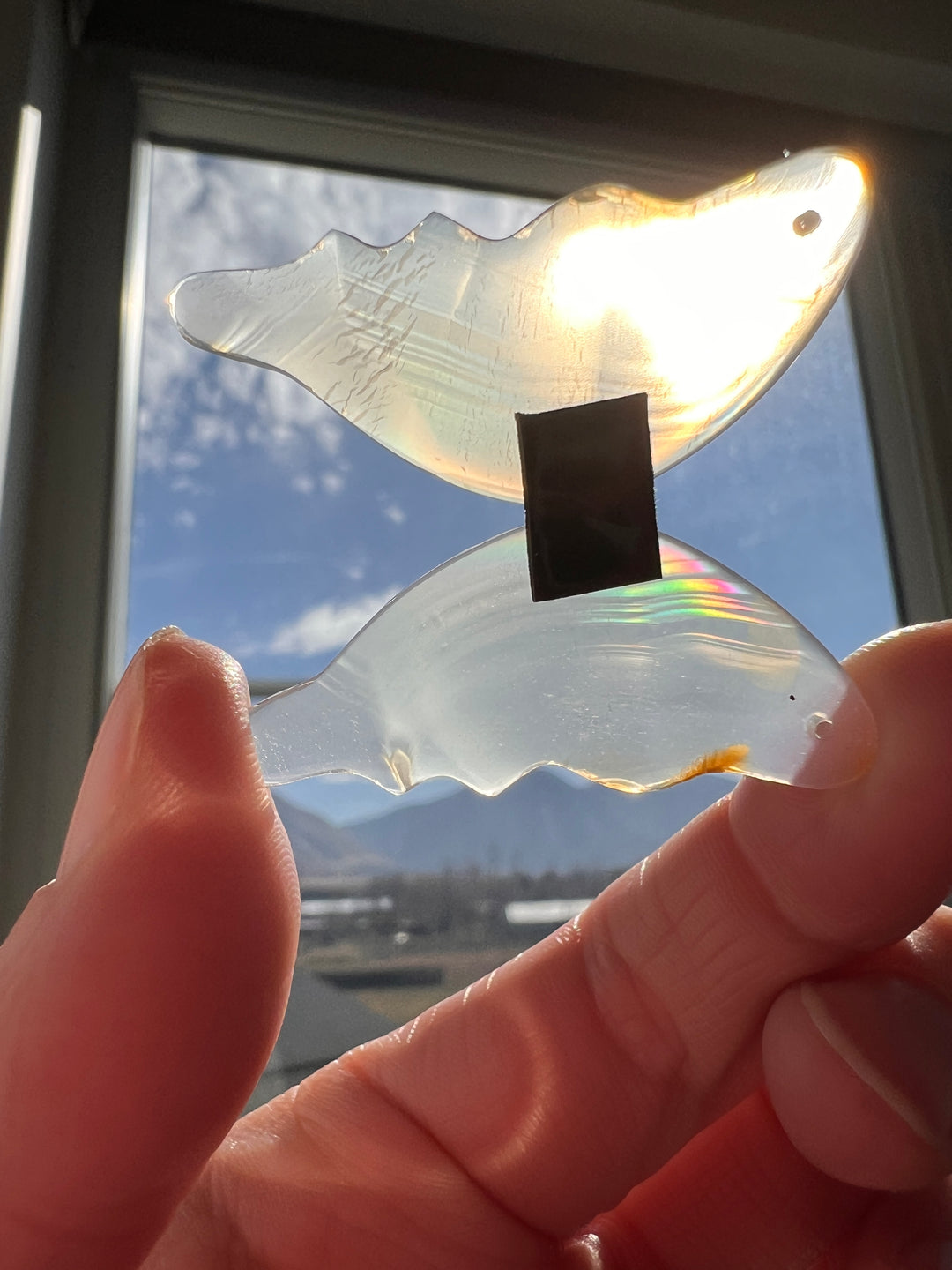 Iris Agate Drilled Butteryfly Wings (25)