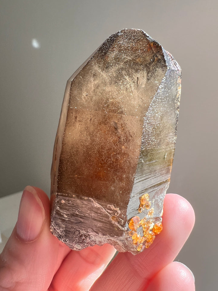 Spessartine Garent on Smoky Quartz | 108.4g
