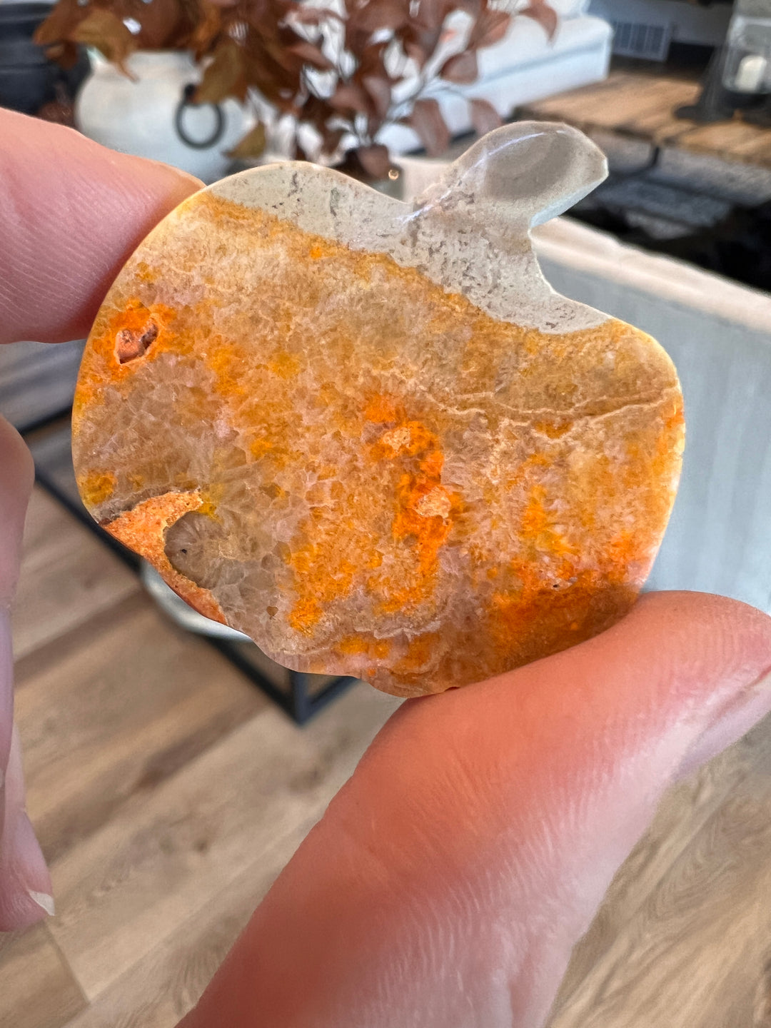 Bumblebee Jasper Pumpkin (33)