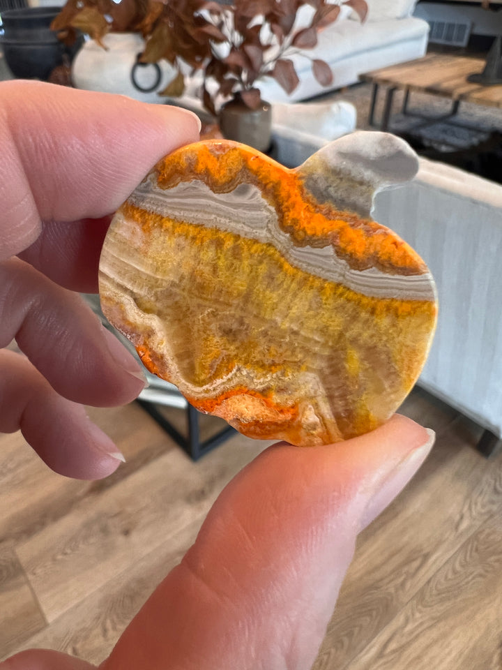 Bumblebee Jasper Pumpkin (30)
