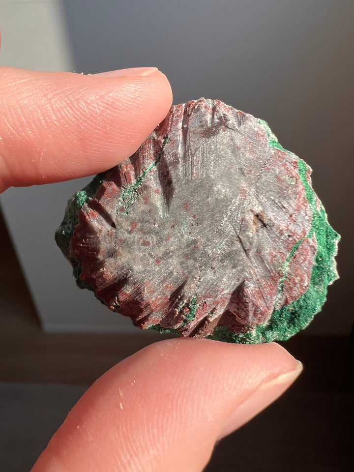 Sugar Malachite (4) | 22.4g