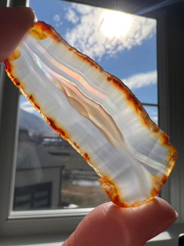 Iris Agate Slice (4) | 11.7g