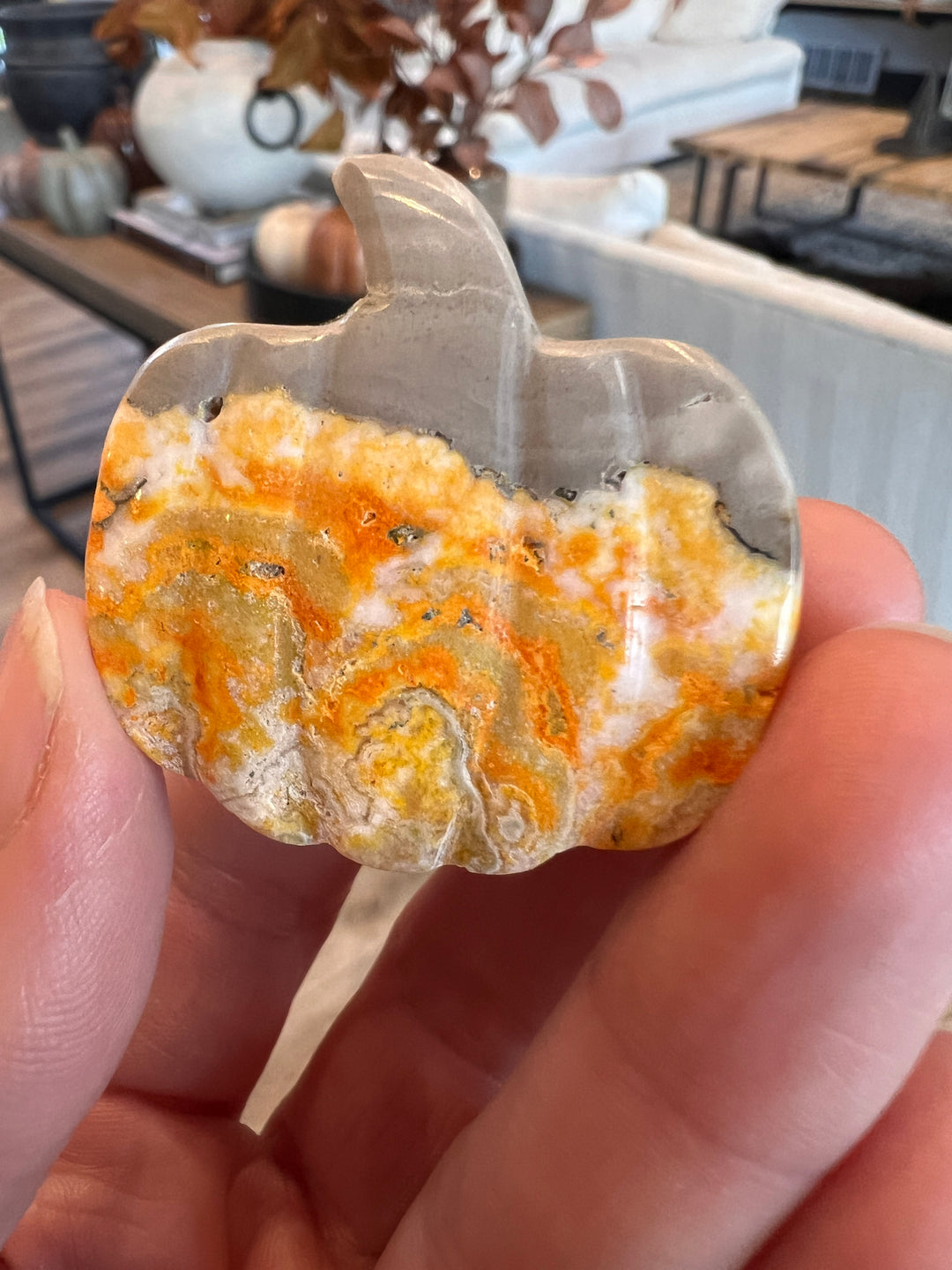 Bumblebee Jasper Pumpkin (22)