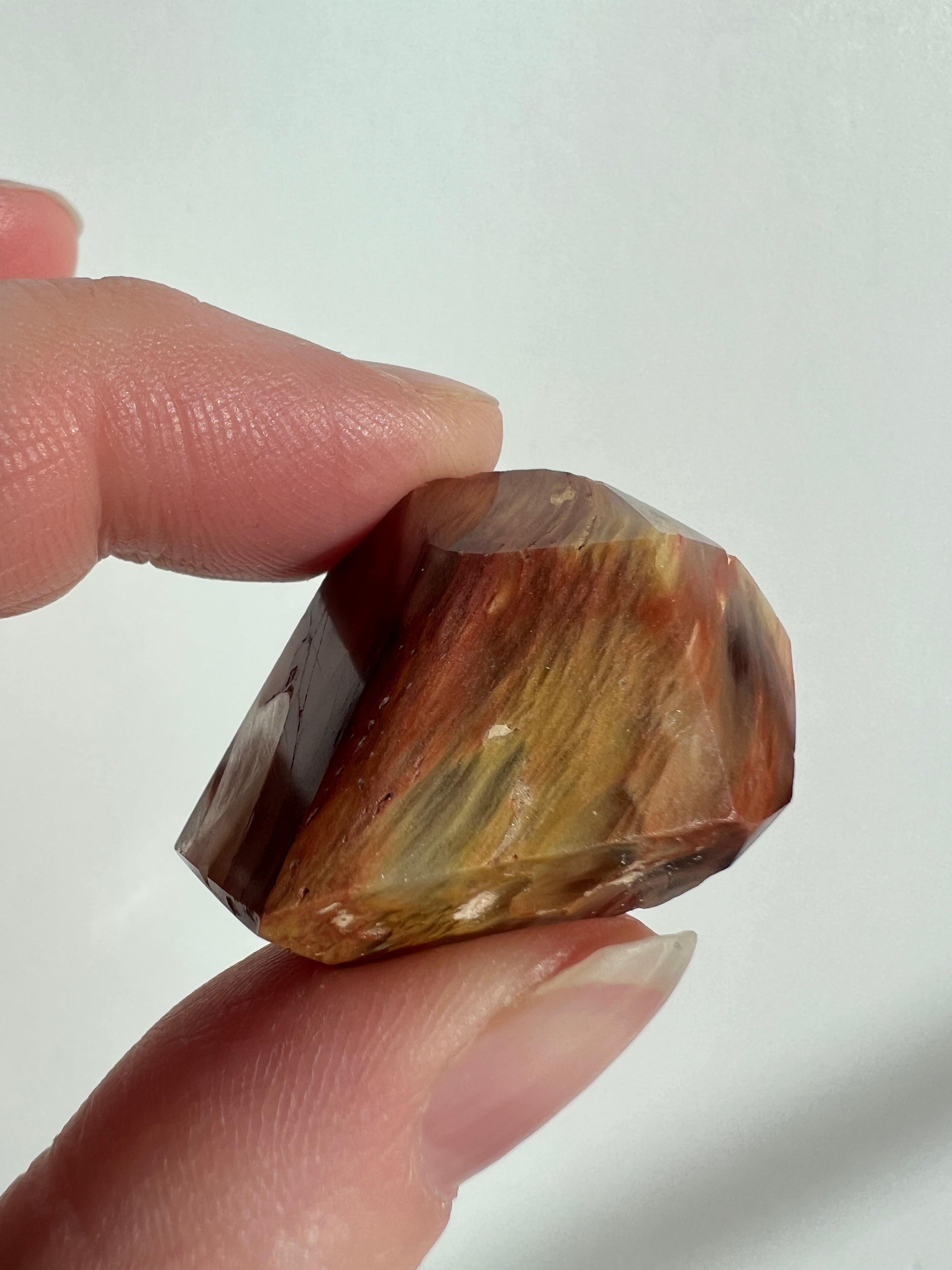 Crystals For Days | Amphibole Quartz Collection