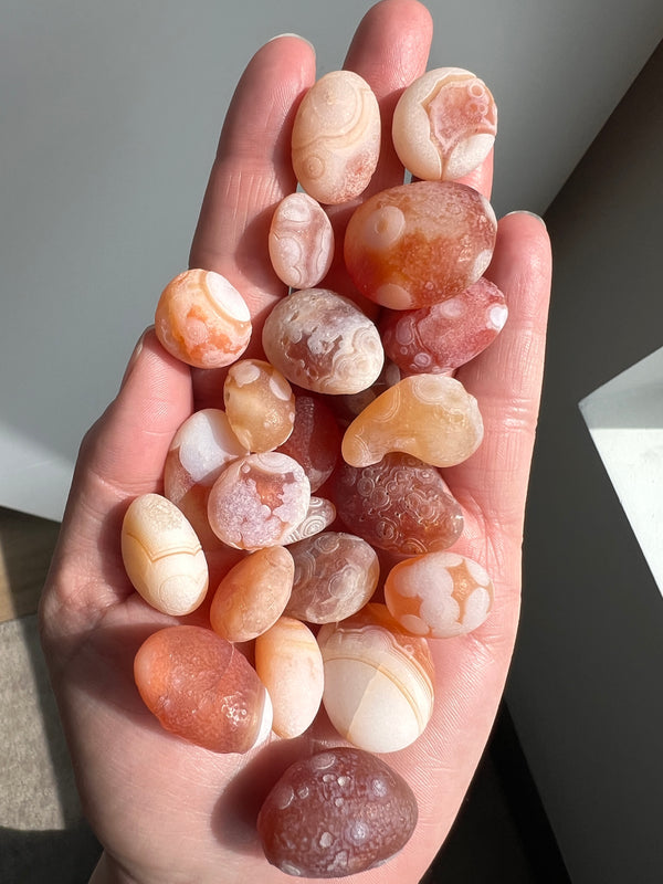 Wholesale Gobi Desert Agate Lot (2)