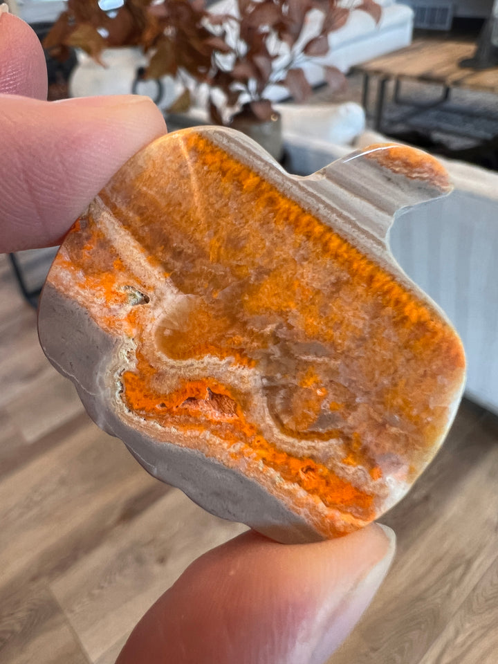 Bumblebee Jasper Pumpkin (33)