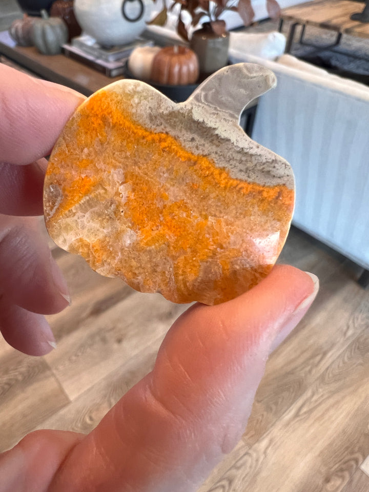 Bumblebee Jasper Pumpkin (10)