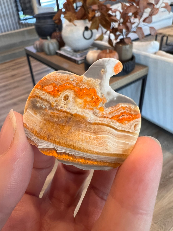 Bumblebee Jasper Pumpkin (2)