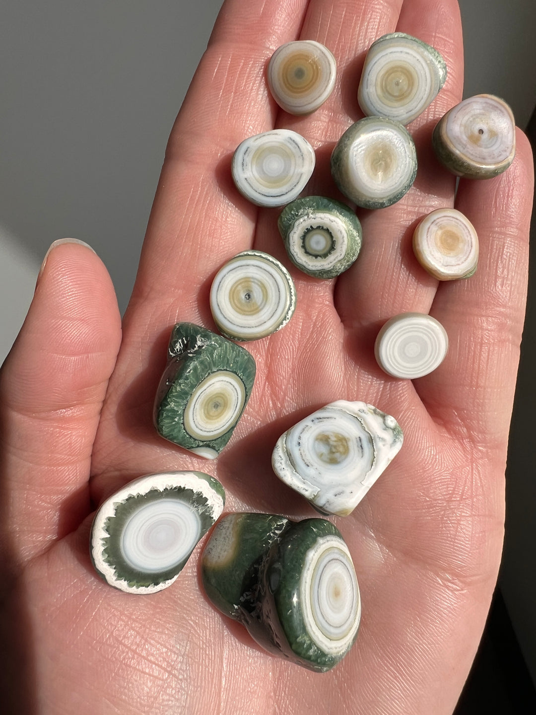 8th Vein Ocean Jasper Just The Orbs Lot