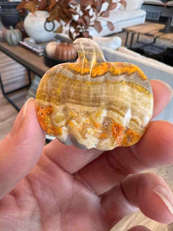 Bumblebee Jasper Pumpkin (30)