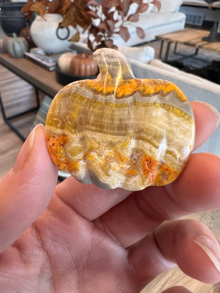 Bumblebee Jasper Pumpkin (30)