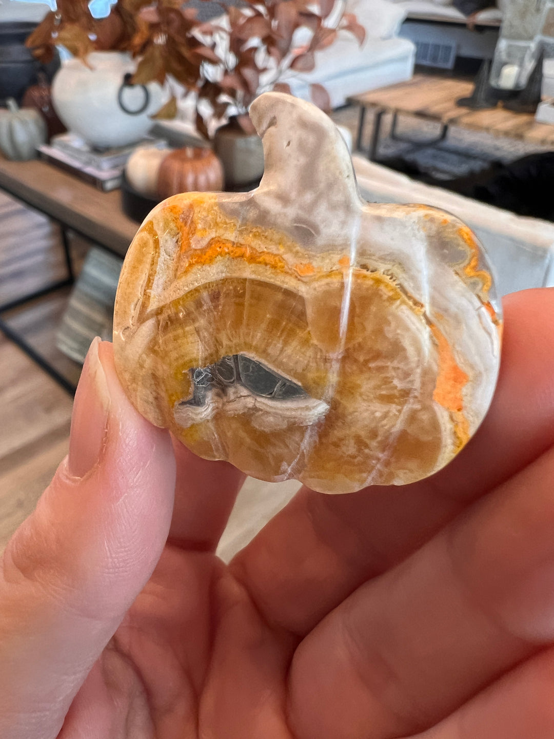 Bumblebee Jasper Pumpkin (18)