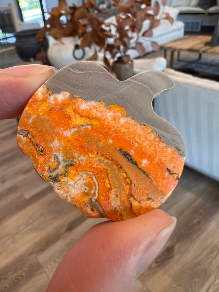 Bumblebee Jasper Pumpkin (7)