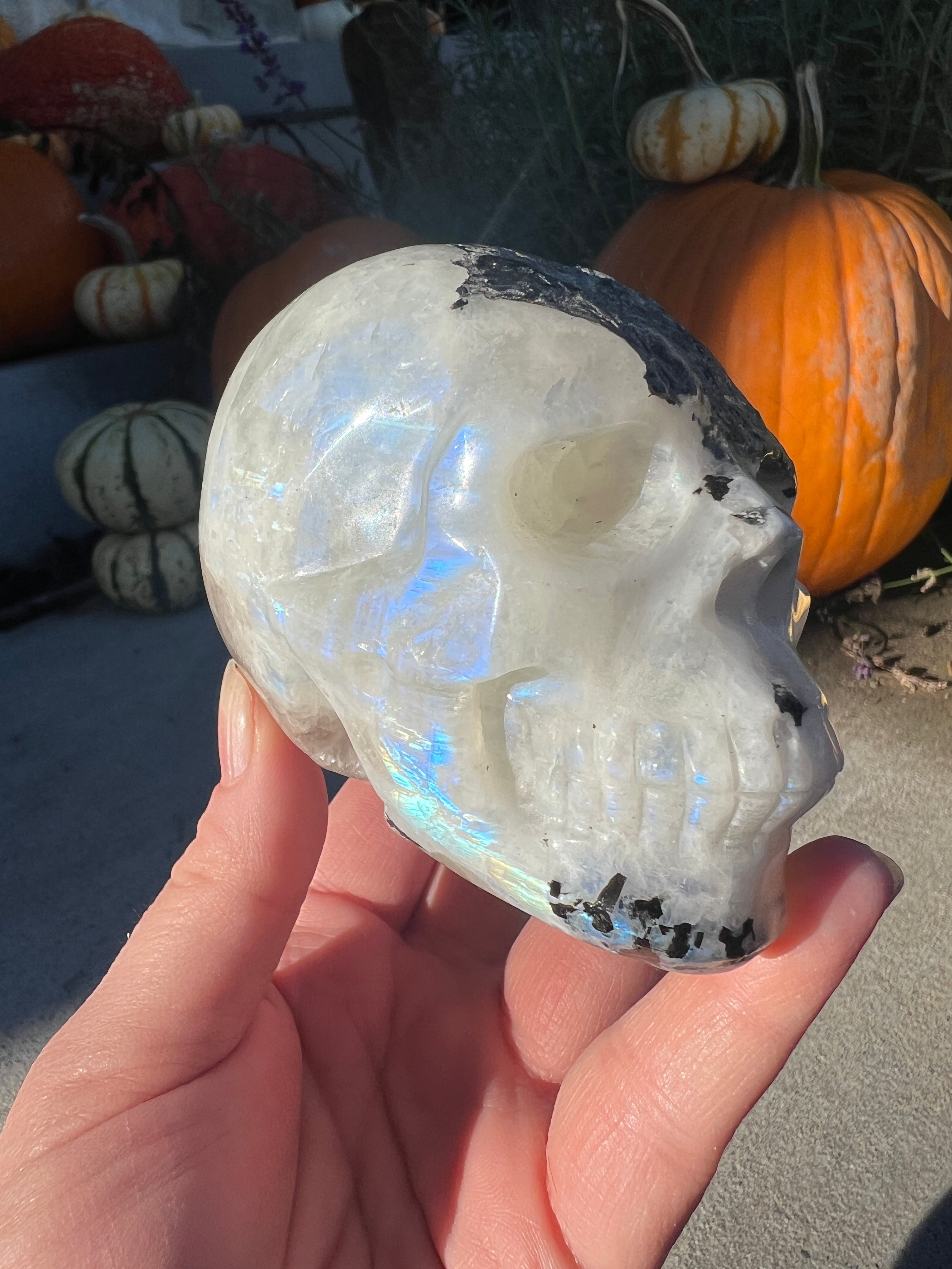 Rainbow Moonstone Skull | 596g – Crystals For Days