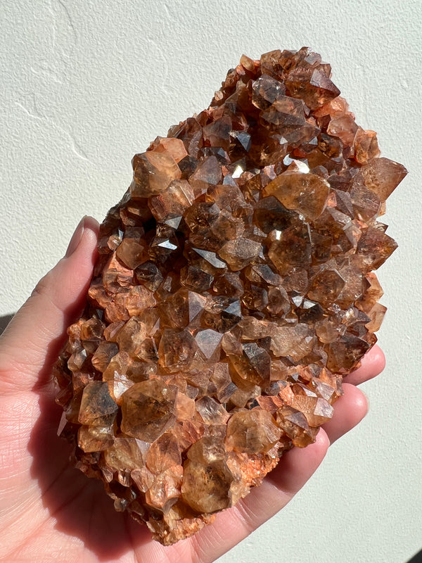 Citrine Cluster with Golden Rutile | 1lb 7.5oz