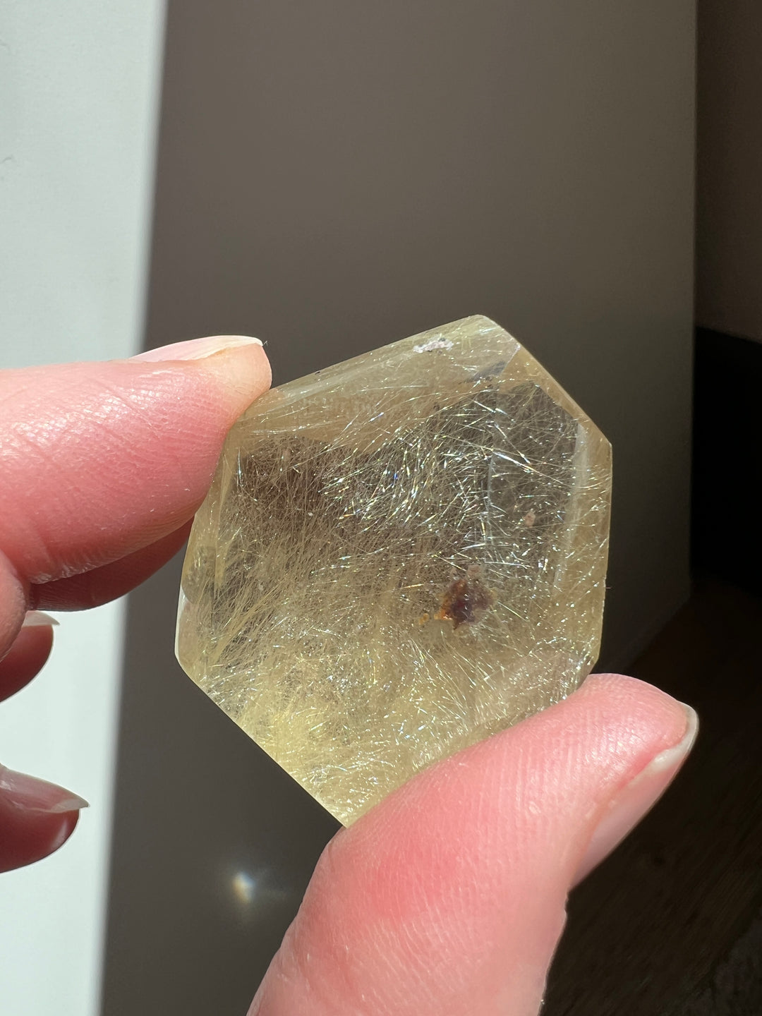 Rutilated Quartz (8)