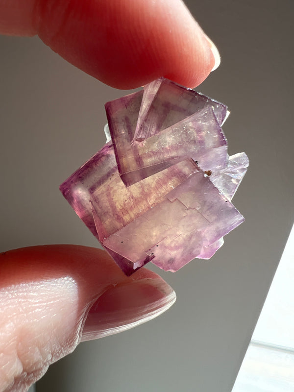 Fluorite (7) | 13.5g