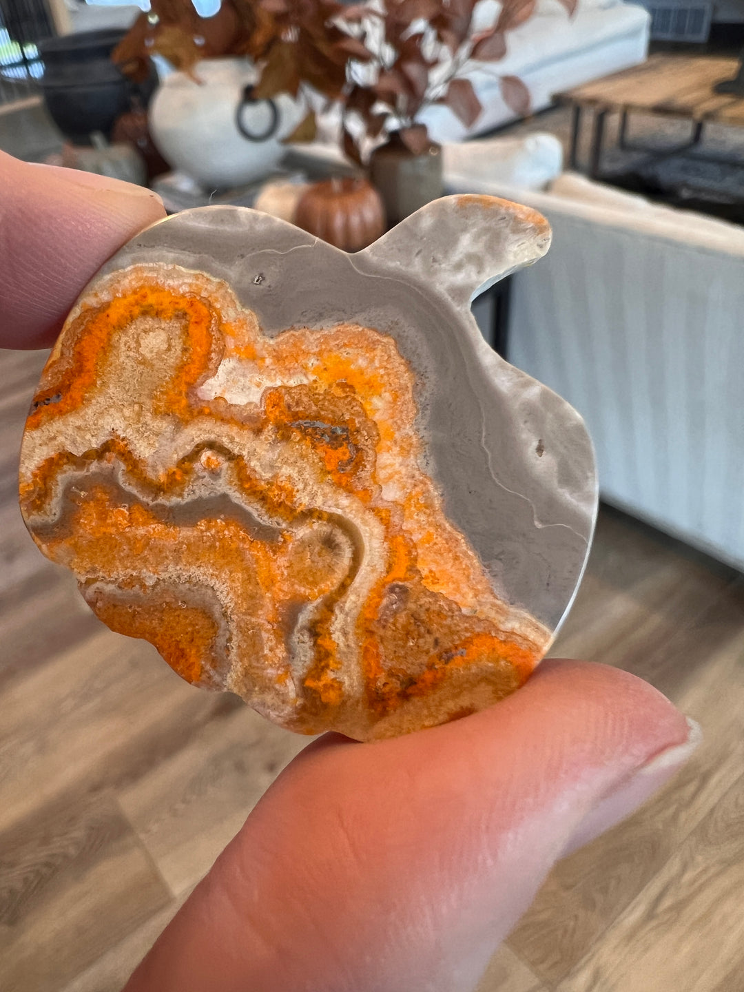 Bumblebee Jasper Pumpkin (20)