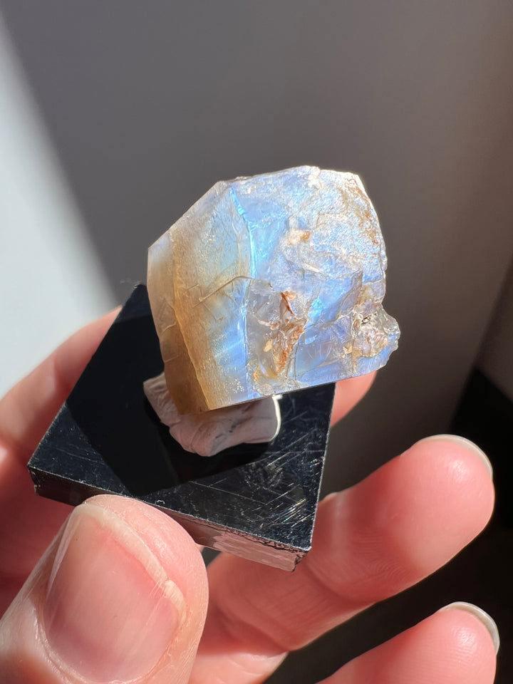 Mexican Moonstone (8) | 7.5g