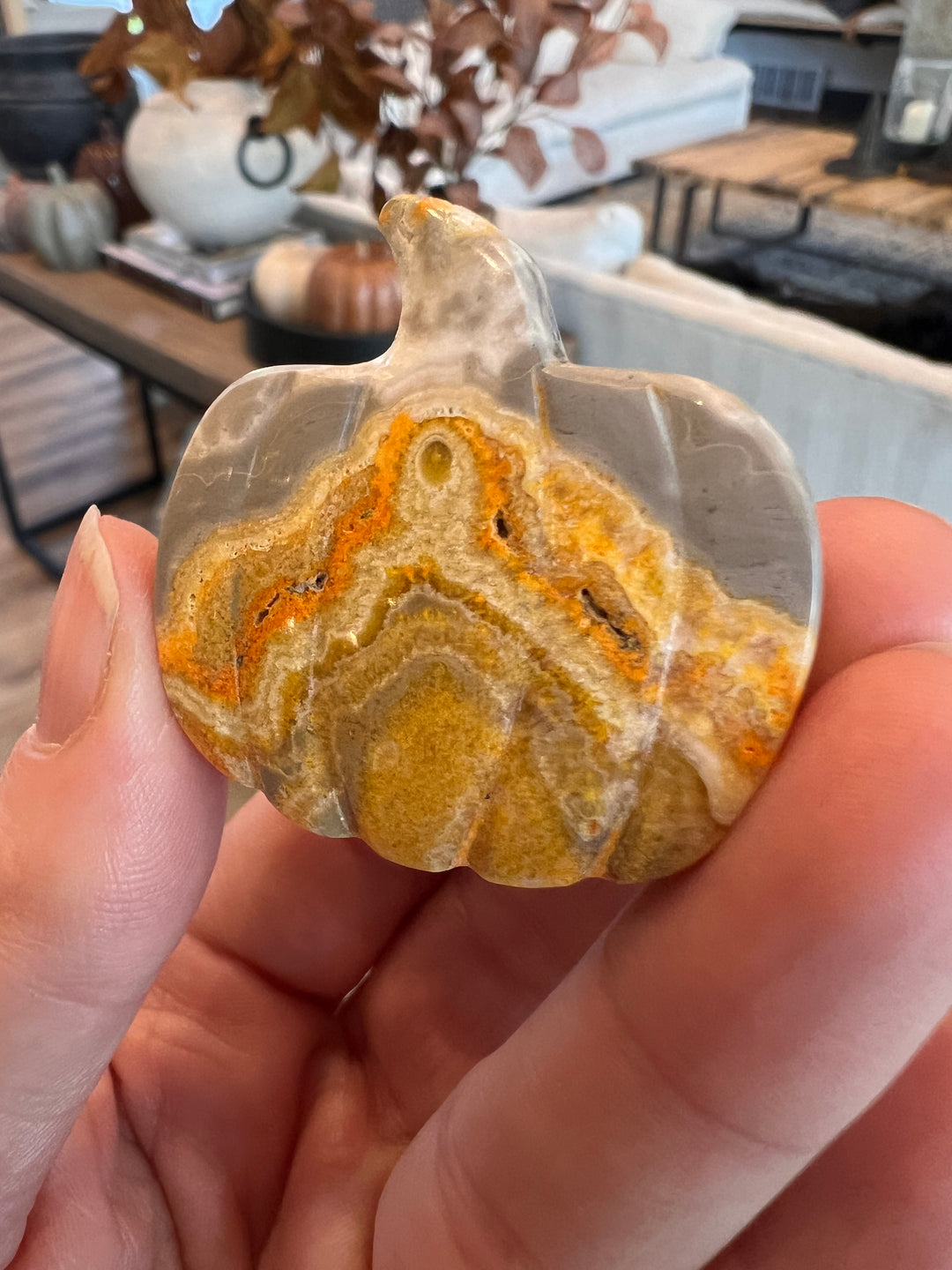 Bumblebee Jasper Pumpkin (20)