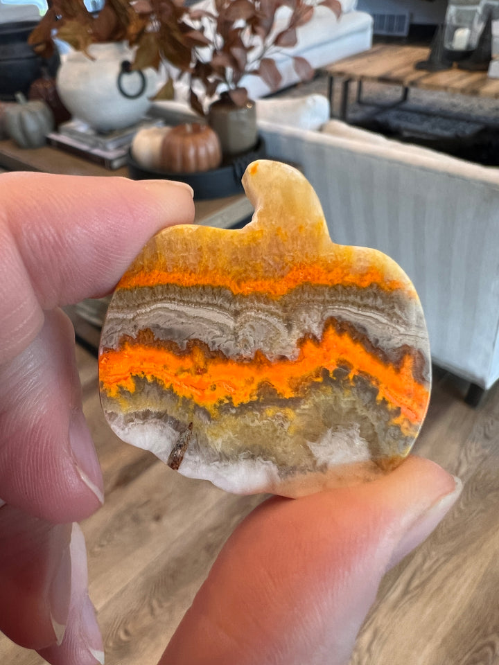 Bumblebee Jasper Pumpkin (21)