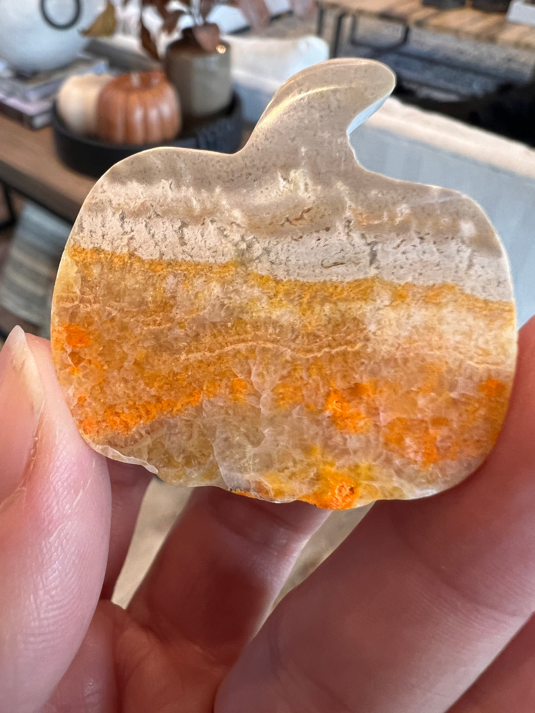 Bumblebee Jasper Pumpkin (16)