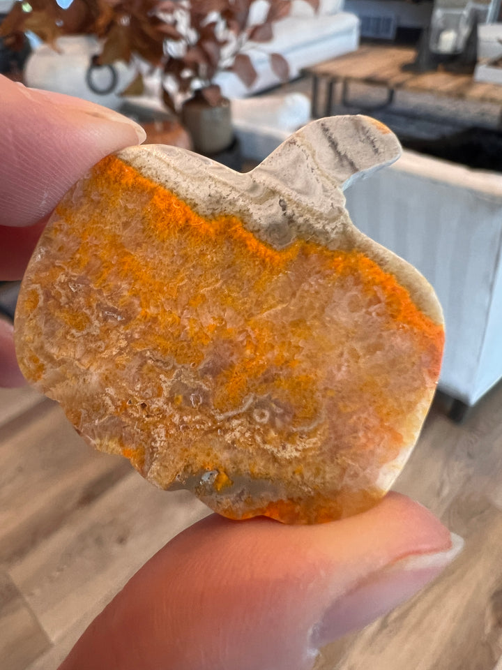 Bumblebee Jasper Pumpkin (15)