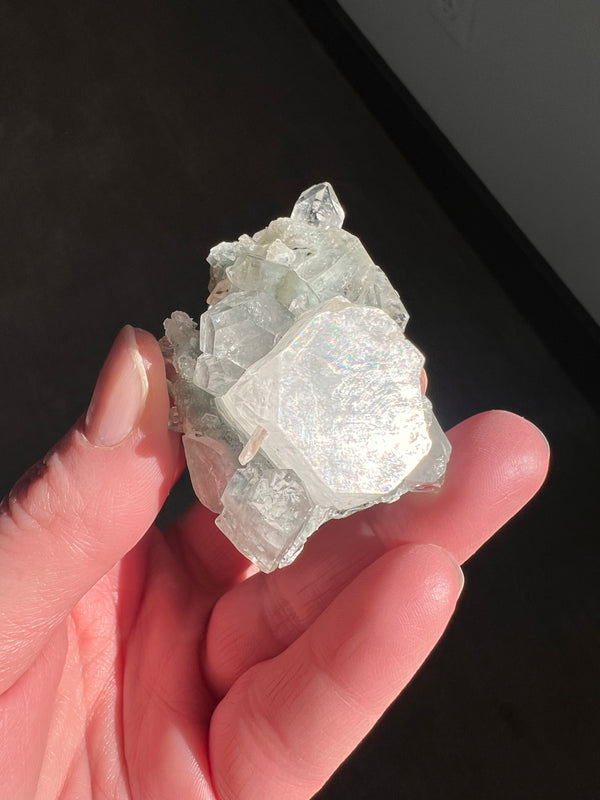 Apophyllite Cluster | 47.2g