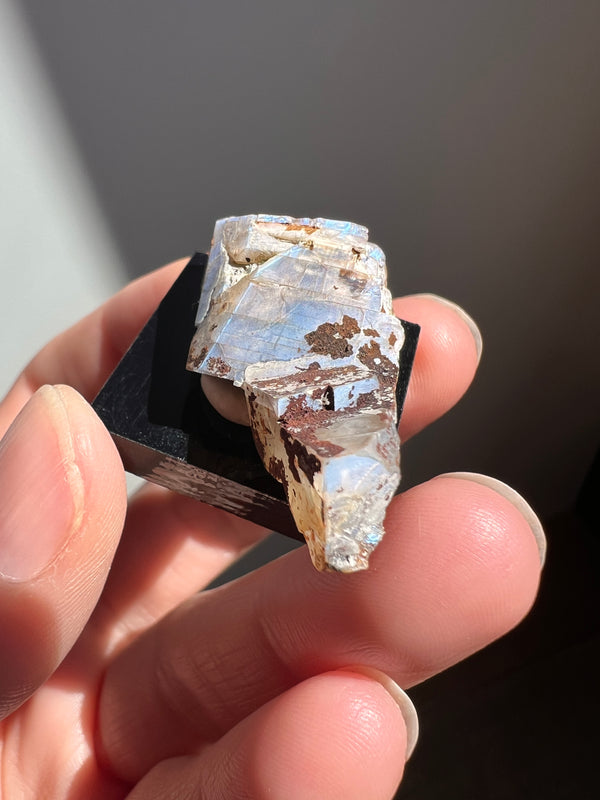 Mexican Moonstone (5) | 7.8g