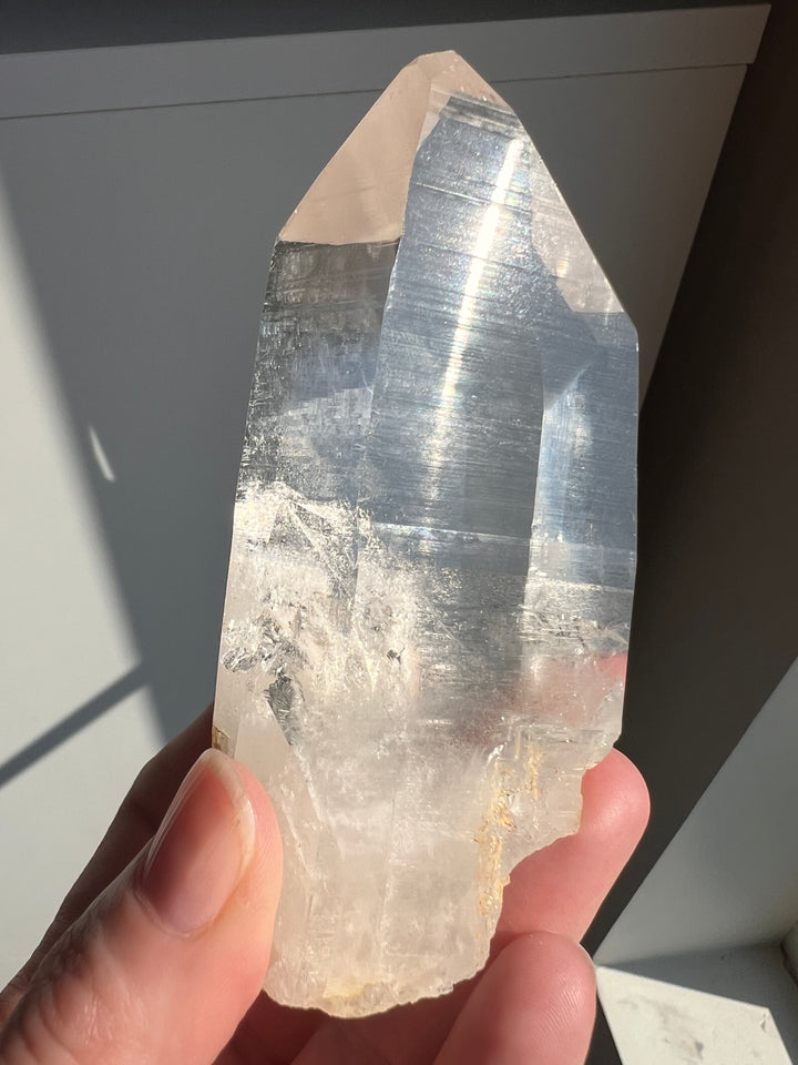Colombian Lemurian (10) | 264.8g