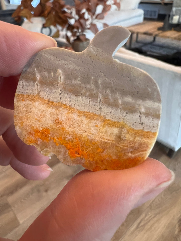 Bumblebee Jasper Pumpkin (23)
