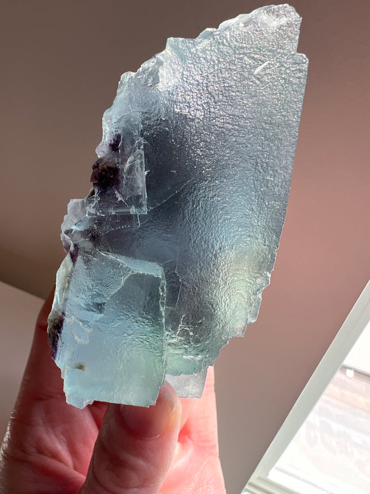 Fluorite (8) | 284.1g