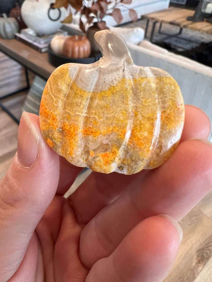 Bumblebee Jasper Pumpkin (33)