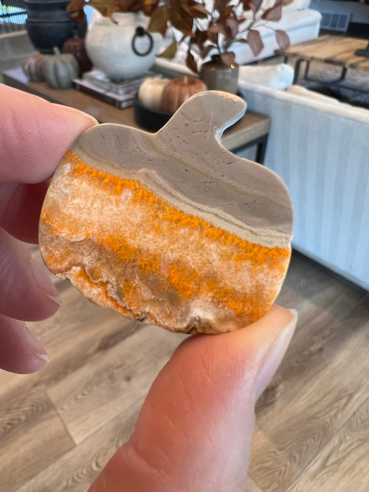 Bumblebee Jasper Pumpkin (8)