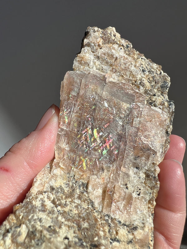 Rainbow Lattice Sunstone on Matrix | 1lb 9oz