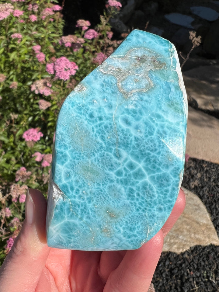 Larimar Freeform 25 | 457.6g