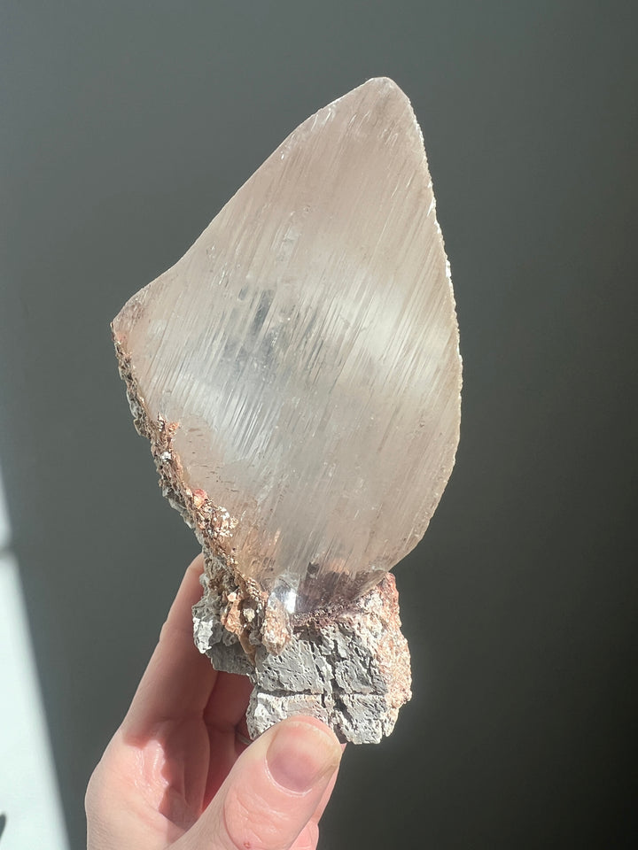 Naice Mine Mexico Selenite Double Bubble Enhydro | 1lb 11oz