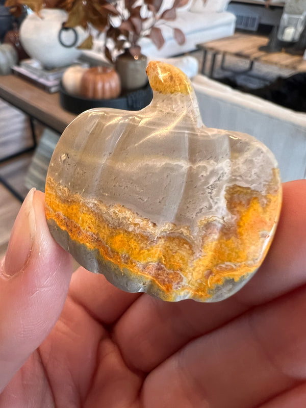 Bumblebee Jasper Pumpkin (31)
