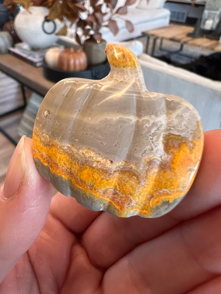 Bumblebee Jasper Pumpkin (31)