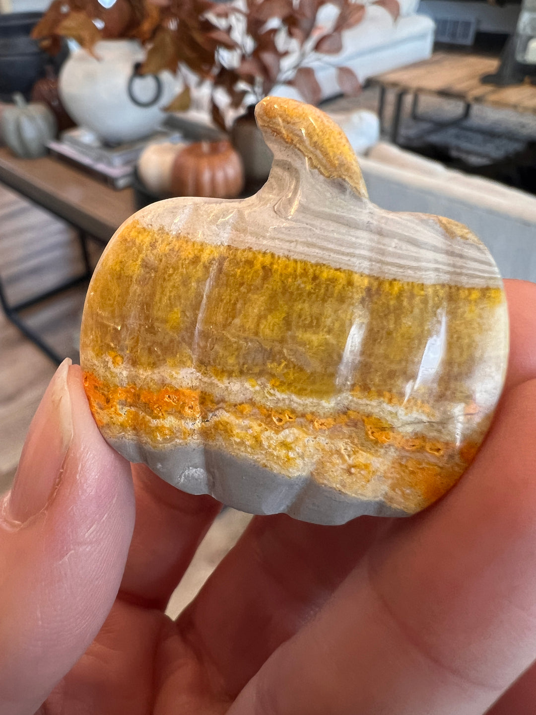 Bumblebee Jasper Pumpkin (33)