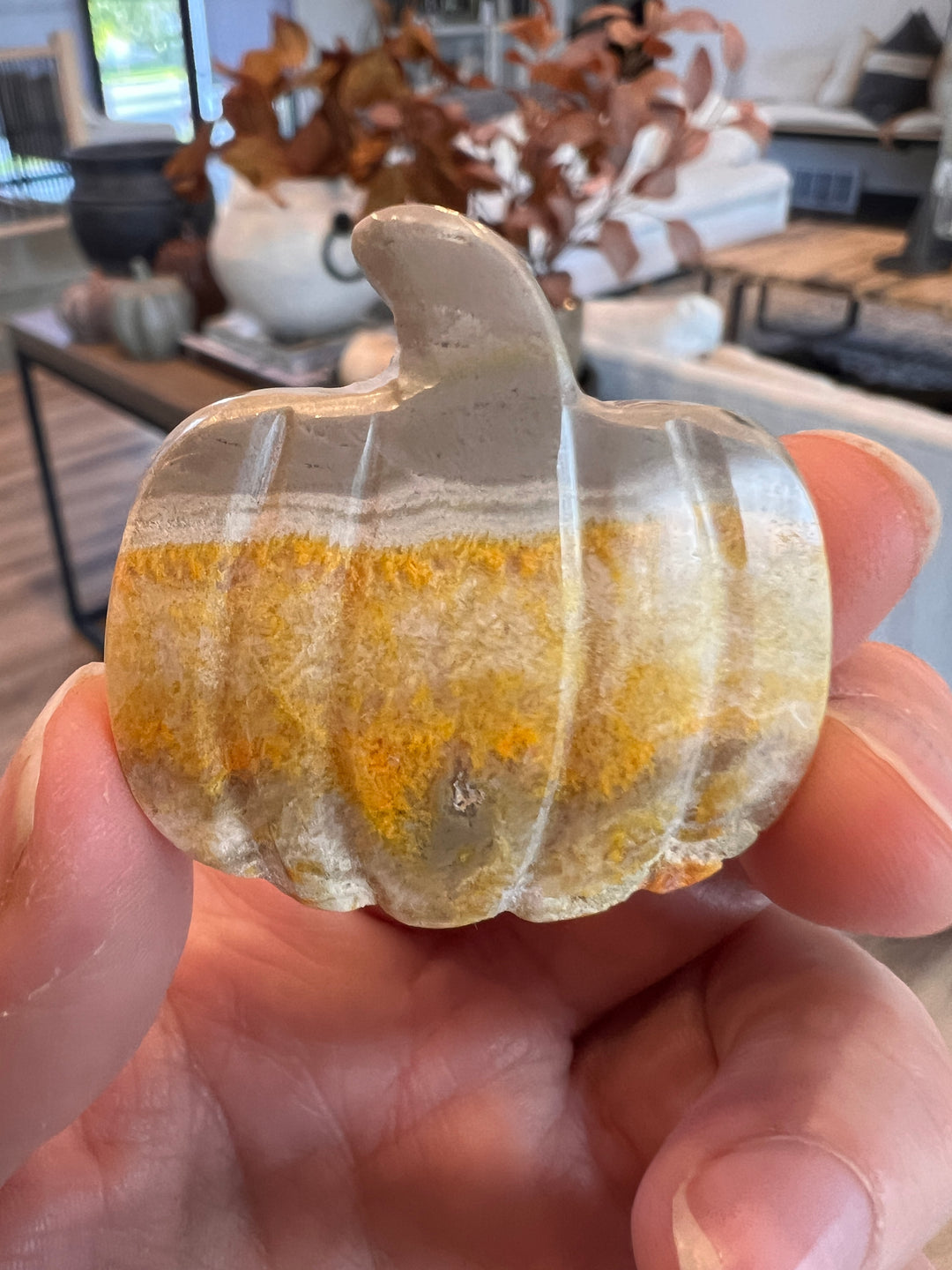 Bumblebee Jasper Pumpkin (8)