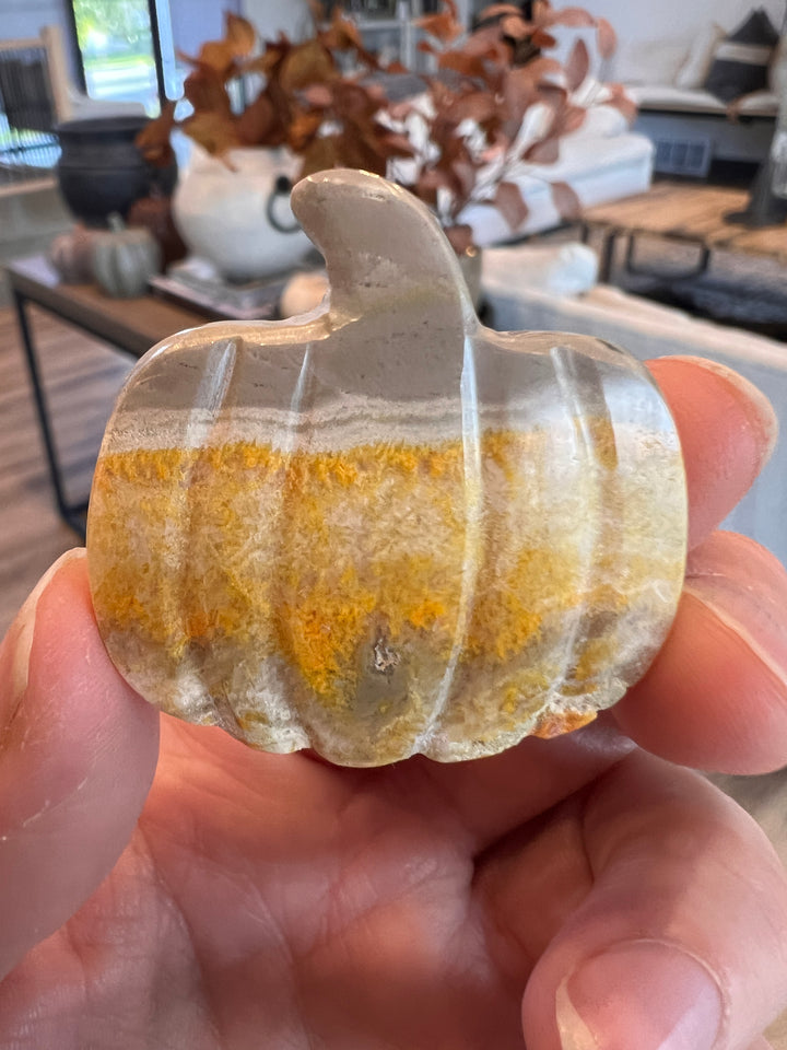 Bumblebee Jasper Pumpkin (8)